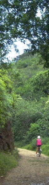 j0148839.jpg (68300 bytes)