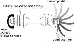 wpe4.jpg (6357 bytes)